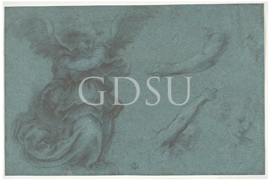 Disegno 1